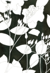 Rosebuds 3