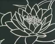 Waterlily #6