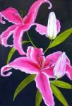 Lilies #2